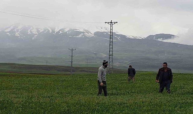 Mayıs ayında kar yağdı, vatandaş yeniden soba kurdu
