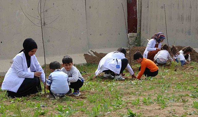 Minikler fidan dikti, büyükler halay çekti
