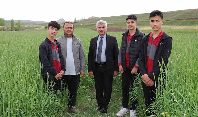 Öğrencilerin ektiği 'ata tohumu' boy verdi