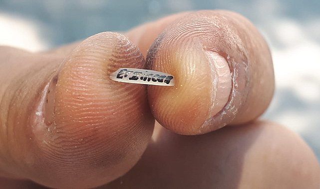 Pirinç tanesi ekmek kapısı oldu