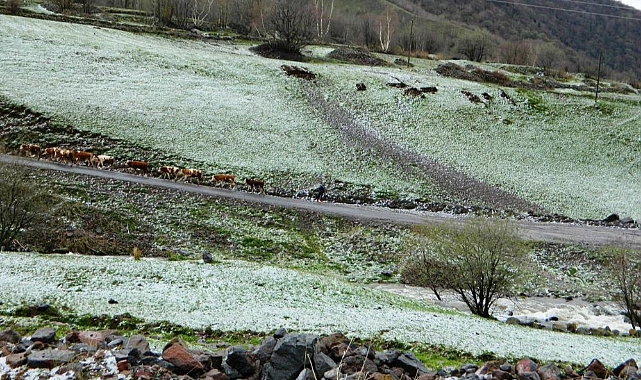 Posof’ta bir günde dört mevsim