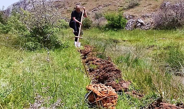 Salep soğanı toplayan 6 kişiye 678 bin lira ceza
