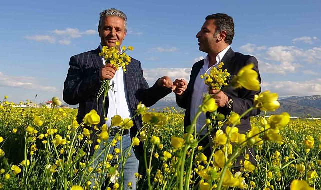 Sarı çiçeklerle renklenen Yüksekova'da muhteşem görüntü