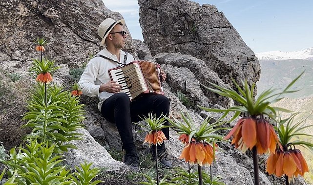 Tunceli'de koruma altındaki ters laleler çiçek açtı