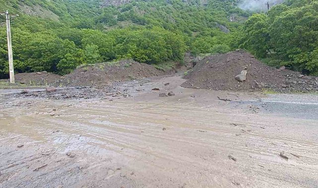 Tunceli'de sağanak yağış hayatı olumsuz etkiledi