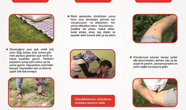 Uzmanlar uyardı; kene ısırmalarına dikkat edin