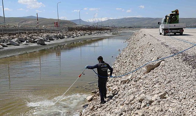Van Büyükşehir Belediyesinin ilaçlama çalışmaları devam ediyor