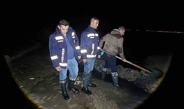 Van'da 2 ton inci kefali kurtarıldı