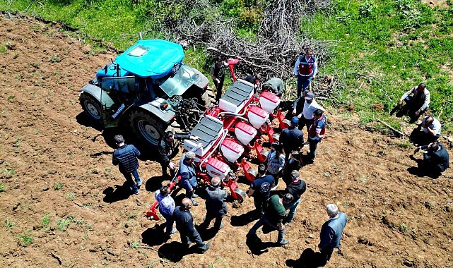 Yedisu horoz kuru fasulyesi üretimi 10 kat arttı