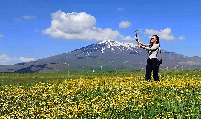 Bahar çiçekleriyle renklenen Sütey Yaylası ve Süphan Dağı hayranlık uyandırıyor