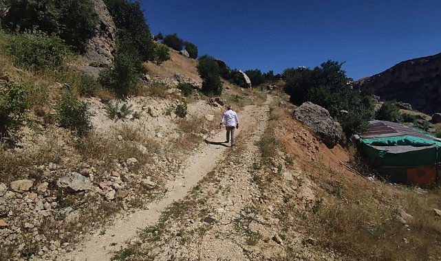 Bayram sabahı kaçan kurbanını bulmak için 3 gündür arazi arazi geziyor