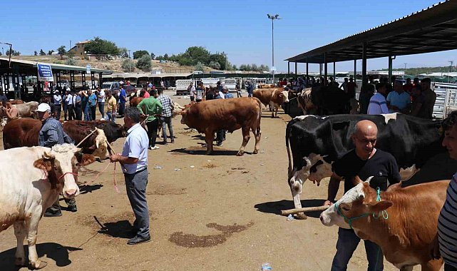 Bayramın 1.günü canlı hayvan pazarında hareketlilik sürüyor