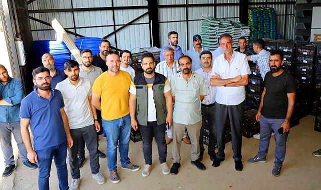 Bingöl'de 170 bin adet çilek fidesi dağıtıldı