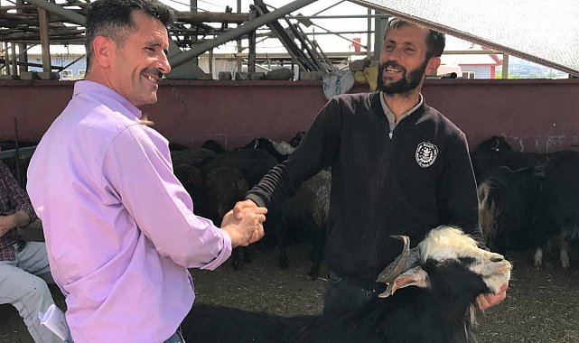 Bingöl'de kurbanlıklar için kol koparan pazarlıklar sürüyor