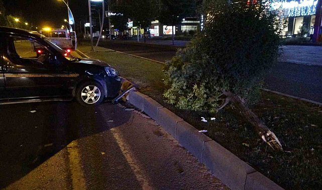 Çarptığı ağacı yerinden söküp karşı şeride geçti: 1 yaralı
