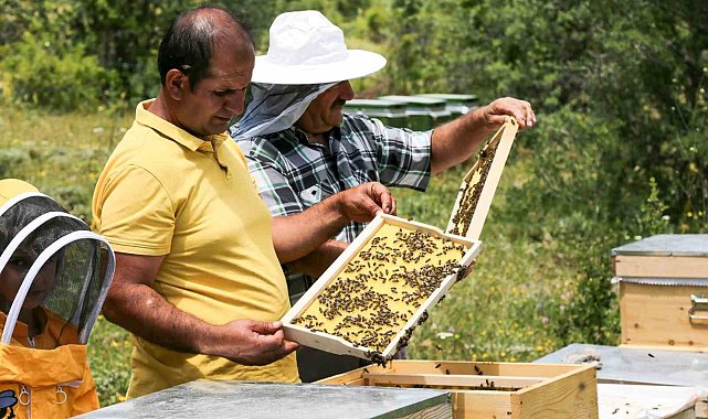 Çayırlı'da arıcılık geliştiriliyor