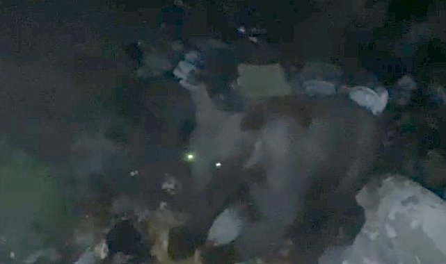 Çöplükte beslenen ayı görüntülendi