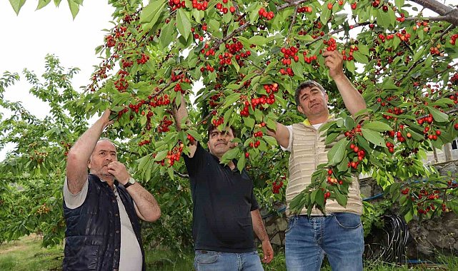 Devlet desteği ile hayalini kurduğu meyve bahçesine kavuştu