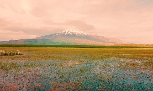 Doğa harikası Sütey Yaylası'nda renk cümbüşü