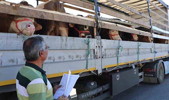 Doğu'da kurbanlık sevkiyatına sıkı denetim