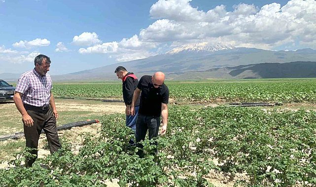Doğubayazıt Kaymakamı Ekinci, meyve ve sebze bahçelerinde incelemelerde bulundu