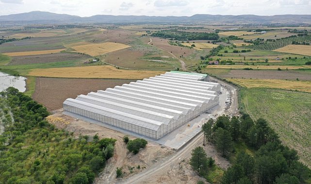 Elazığ Belediyesi jeotermal sera sahasında topraksız tarıma başladı