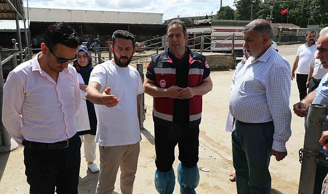 Elazığ'da Hayvan satış yerleri denetlendi