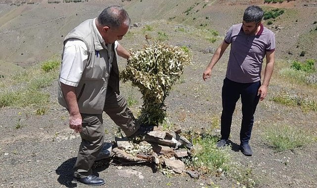 Elazığ'da kaçak avcılığın önlenmesi için denetimler sürüyor