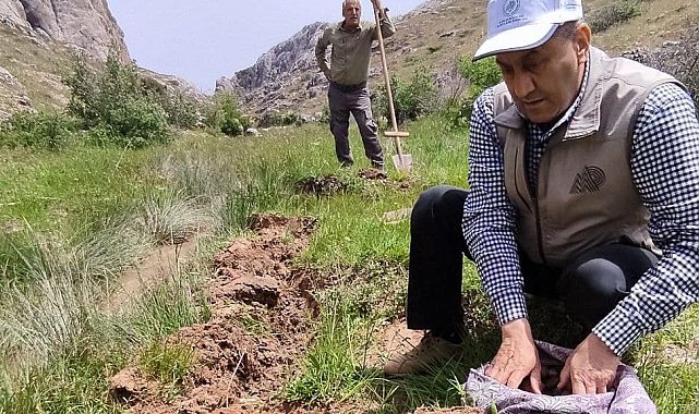 Elazığ'da salep soğanı toplayan 13 kişiye 1 milyon 518 bin lira ceza