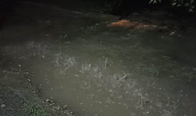 Erciş'te yağmur etkili oldu