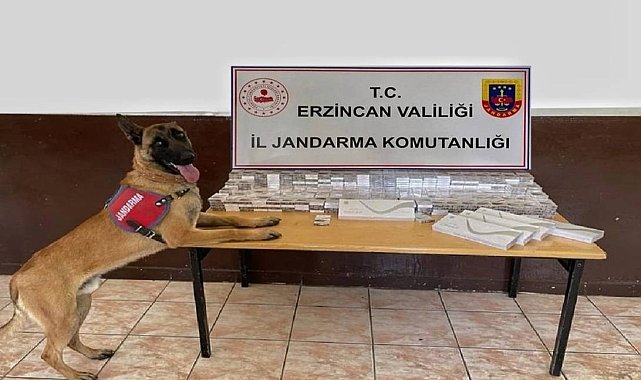 Erzincan'da jandarma ekipleri kaçakçılık olaylarına geçit vermiyor