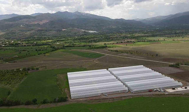 Erzincan'da seracılık sektörü, yeni kurulan seralarla büyüyor