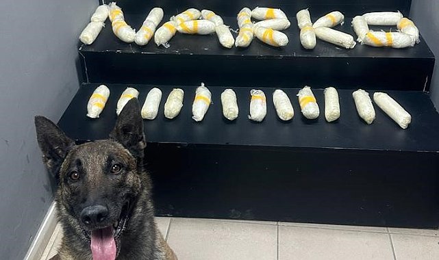 Hakkari'de 9 kilo metamfetamin ele geçirildi