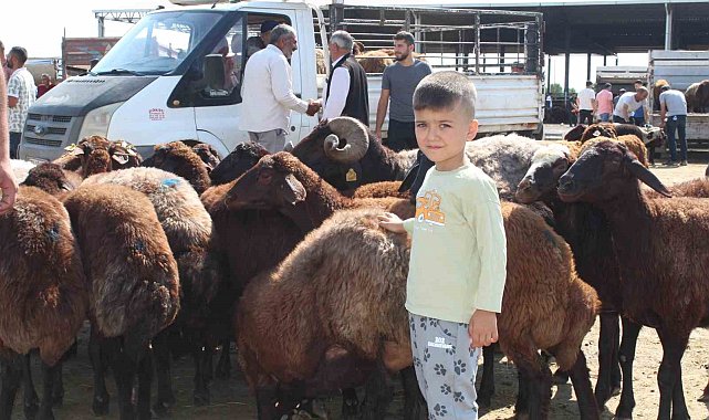 Iğdır'da Kurban Bayramı'na saatler kala kurbanlık satışı devam ediyor