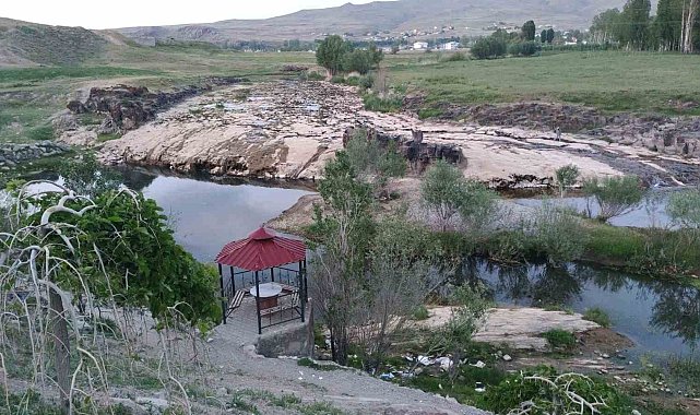 İnci kefalinin yaşamı tehlike altında