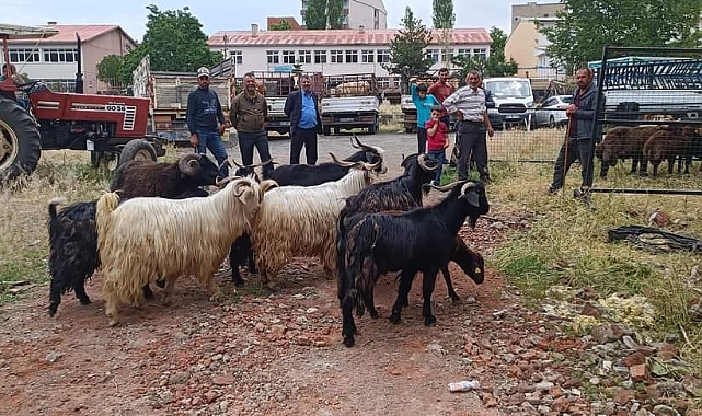 Kağızman'da arife günü trafik karmaşası yaşandı