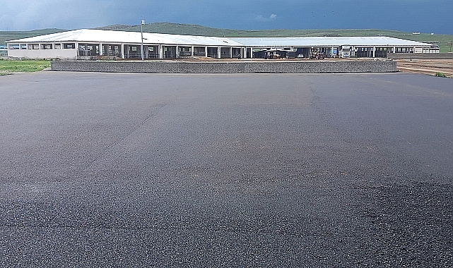 Kars Hayvan Pazarı yarın açılıyor