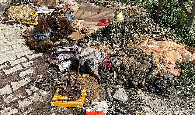 Kars'ta duyarsızlık yine had safhaya çıktı