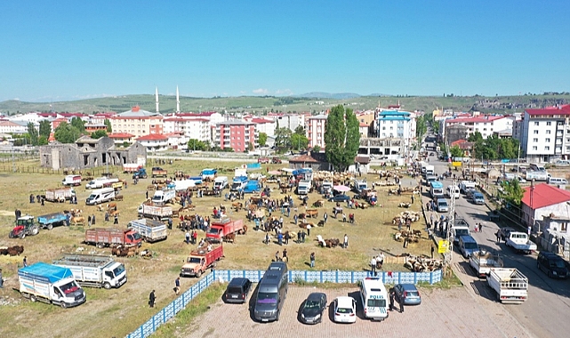 Kars'ta hayvan pazarlarında Kurban Bayramı hareketliliği arttı