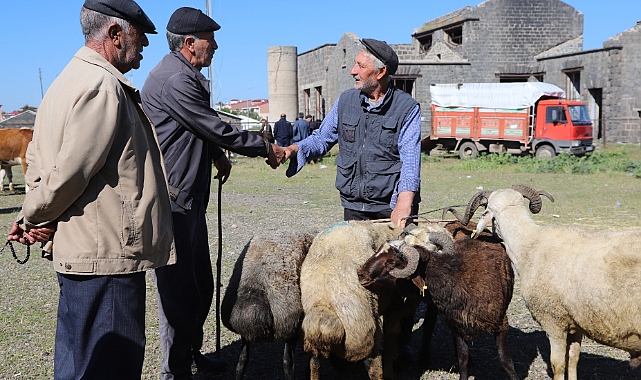 Kars'ta kurbanlıklar sıkı pazarlıklarla alıcı buluyor