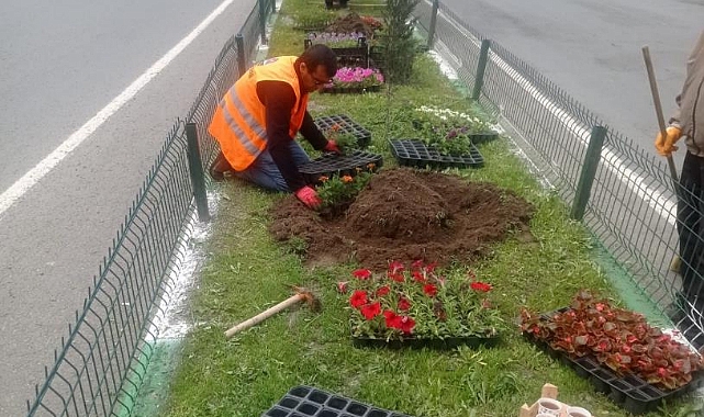 Kars&#039;ta refüjler yeşilleniyor