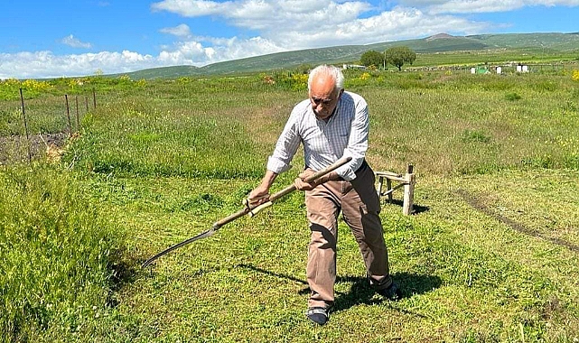 Kışın aşıklık yazın köyünde seracılık yapıyor