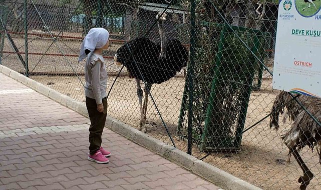 Kurban Bayramı'nda Hayvanat Bahçesi öğrencilere ücretsiz olacak