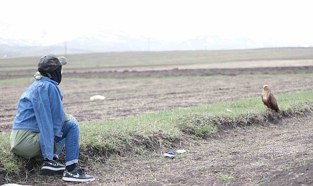 Kuş gözlemcisi ile kızıl şahinin dostluğu