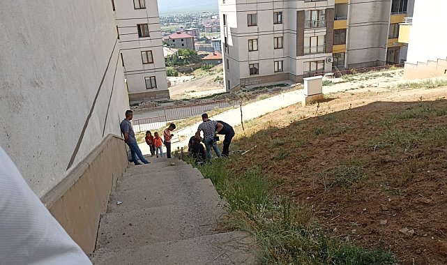 Kuyuya düşen yavru kediyi ekipleri kurtardı