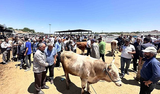 Malatya'da canlı Hayvan Pazarı'nda Arife günü yoğunluğu