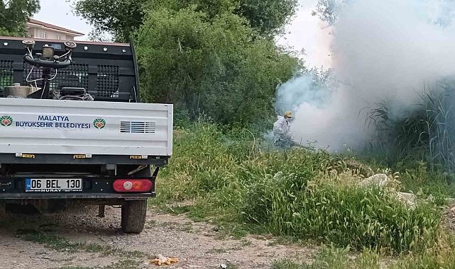 Malatya'da haşere ile mücadele çalışmaları sürüyor