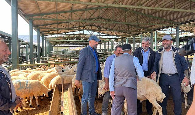 Malatya'da vatandaşlar kurbanlık almak için Arefe Günü'nü bekliyor