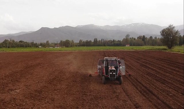 Muş'ta ilk defa silajlık soya ekimi yapıldı