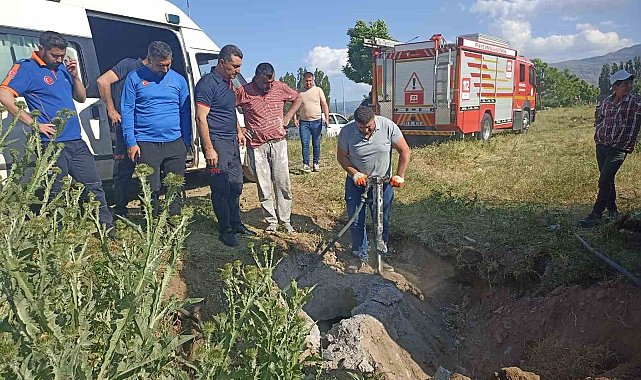 Muş'ta kapağı çalınan menhole düşen inek 2 saatlik çalışma sonucu kurtarıldı